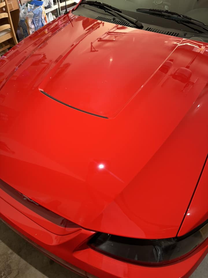 Closeup of the hood of a fiery red Mustang SVT Cobra after a full paint restoration