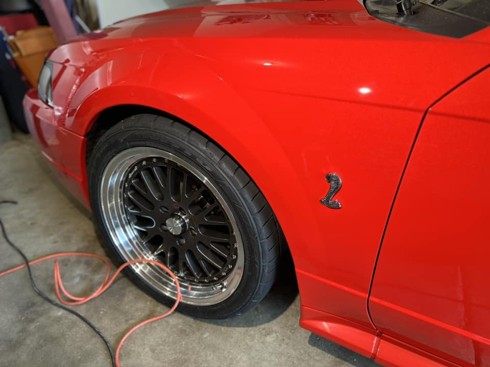 Closeup of the Cobra badge on a fiery red Mustang SVT Cobra after a full paint restoration