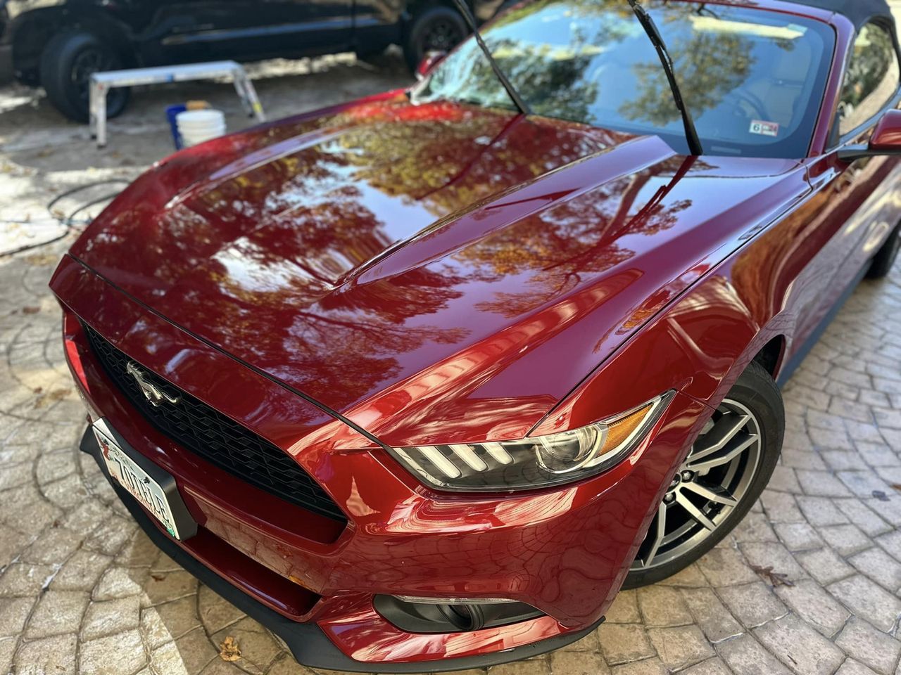 a red Ford Mustang brilliantly reflecting its surroundings after Parker's exterior detailing service